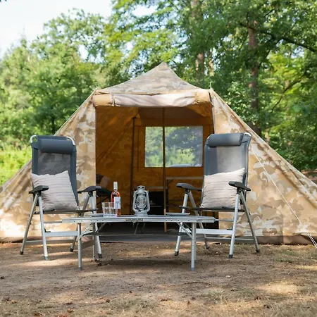 Tent-ok * Neede